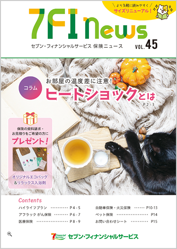 7FInews 45号