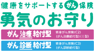健康をサポートする がん保険 勇気のお守り